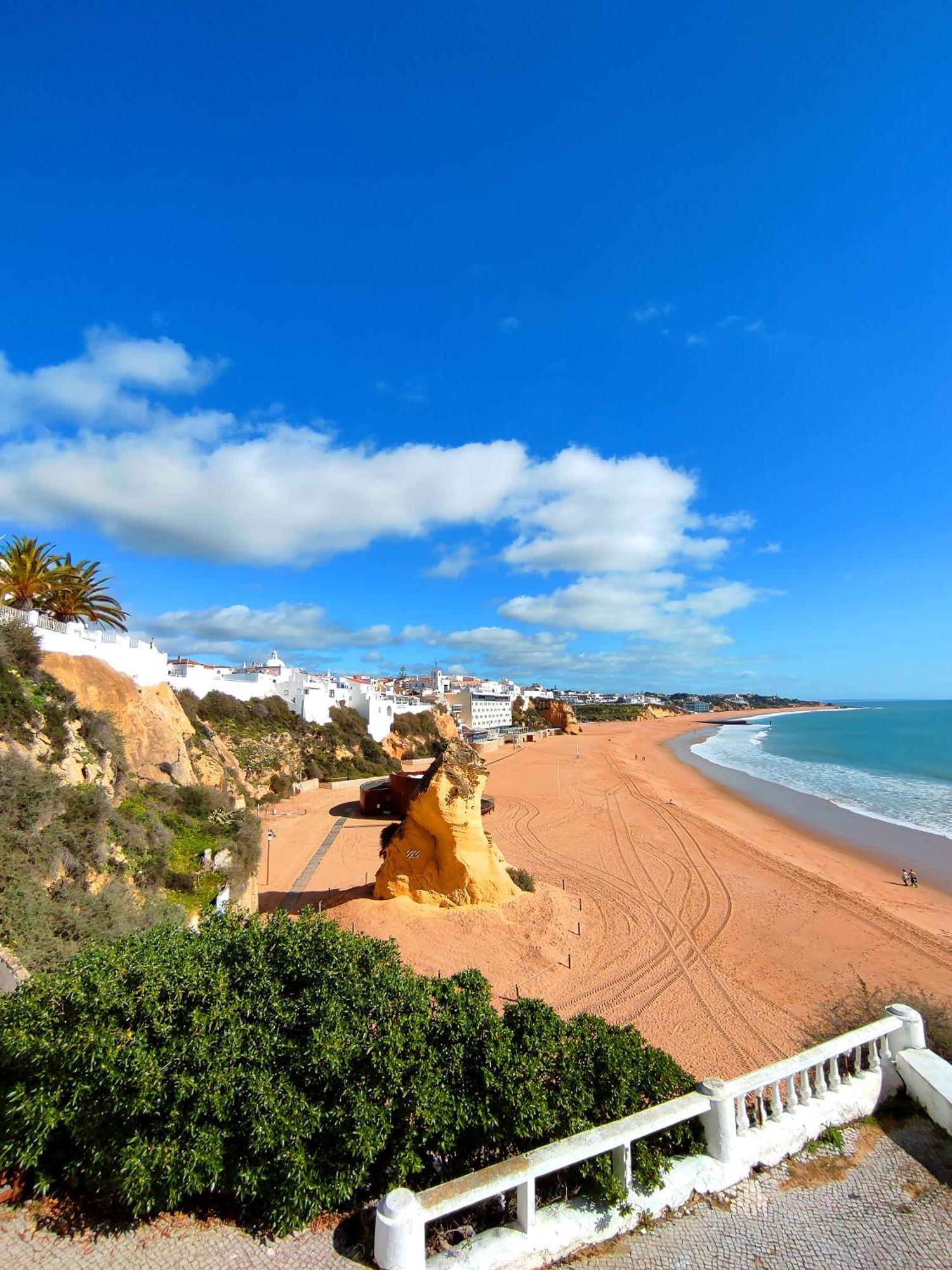 Marina Garden Palm Tree By Be Cherish * Albufeira